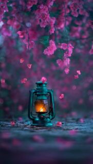 Aesthetic Vintage Lantern with Falling Pink Flower Petals Mobile Wallpaper