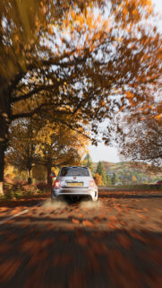 Abarth 500 Driving Fast Through Golden Autumn Forest Wallpaper for Mobile