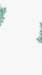 Minimalist Watercolor Leaves Aesthetic Phone Wallpaper Background