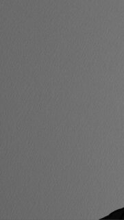 Minimalist Solid Grey Texture Mobile Background for Sleek Smartphone Screens