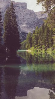 Stunning Alpine Lake Reflection Wallpaper with Majestic Mountain Peaks and Pine Forest