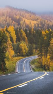 Autumn Road Trip Through Misty Yellow Forest Mobile Wallpaper