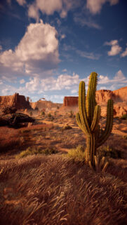 Stunning Arizona Desert Landscape with Majestic Cactus Mobile Wallpaper
