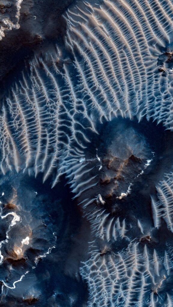 Previous