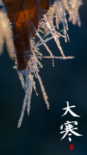 Macro Frost Covered Leaf Aesthetic Wallpaper for Mobile Phone
