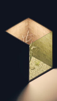 Minimalist Isometric Glass Terrarium Box with Dry Branch and Stones Mobile Wallpaper