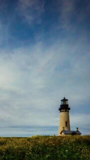 Stunning Coastal Lighthouse Amidst Yellow Wildflowers Phone Wallpaper