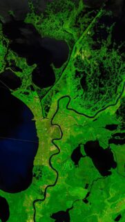 Stunning Satellite View of Earth Vibrant Green Landscapes and Winding Rivers Wallpaper
