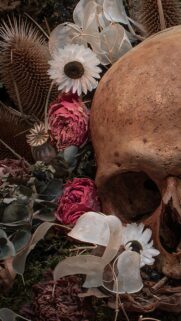 Stunning Human Skull with Dried Roses and Wildflowers Aesthetic Mobile Wallpaper
