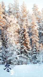 Winter Solstice Cabin in Snowy Pine Forest Mobile Wallpaper