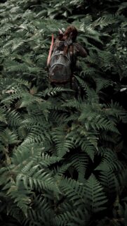 Ellie The Last of Us Part II Hidden in Lush Ferns Mobile Wallpaper