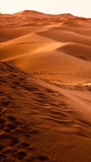 Golden Sahara Desert Dunes Sunset High Resolution Mobile Wallpaper