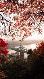 Stunning Autumn View of Liberty Bridge Budapest Wallpaper for Mobile