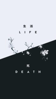 Minimalist Life and Death Zen Wallpaper with Cherry Blossom Aesthetic