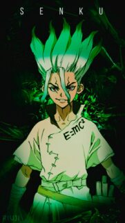 Senku Ishigami Dr Stone Anime Wallpaper HD Mobile Background