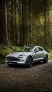 Silver Aston Martin DBX SUV in Enchanting Deep Forest Wallpaper