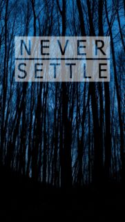 Never Settle Motivational Forest Wallpaper for Mobile Screen
