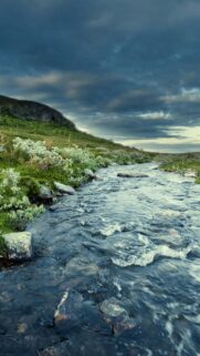 Serene Nordic Mountain Stream and Green Tundra Landscape Mobile Wallpaper