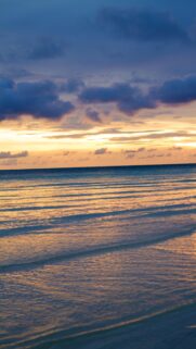 Stunning Golden Hour Tropical Ocean Sunset Phone Wallpaper