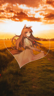 Anime Wolf Girl Holo Sunset Meadow Heart Frame Aesthetic Mobile Wallpaper