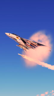 German Air Force F 14 Tomcat Fighter Jet Wallpaper High Resolution Mobile Background