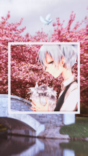 Anime Boy with Flowers and Cherry Blossoms Mobile Wallpaper