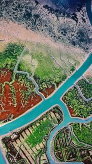 Aerial View of Vibrant Mangrove River Delta Nature Landscape Wallpaper