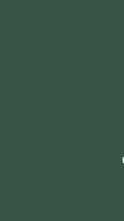 Minimalist Forest Green Solid Color Aesthetic Mobile Wallpaper