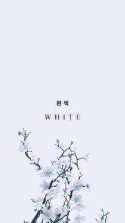 Minimalist White Aesthetic Wallpaper with Elegant Floral Blossoms for Mobile Phone Screens