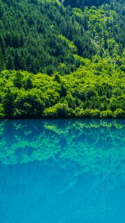 Breathtaking Forest Reflection on Pristine Blue Lake Mobile Wallpaper