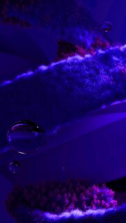 Abstract Neon Blue Furry Landscape with Floating Spheres Wallpaper