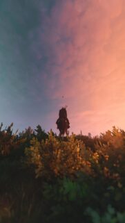 Geralt of Rivia Riding Roach at Sunset Mobile Wallpaper