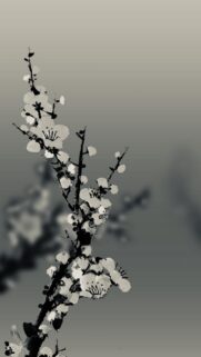 Minimalist Cherry Blossom Branch in Monochrome Ink Style Mobile Wallpaper