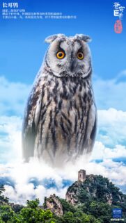 Majestic Long-Eared Owl Floating Above The Great Wall Of China Wallpaper