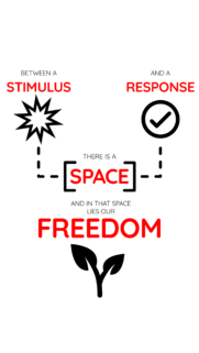 Stimulus and Response Freedom Quote Minimalist Mobile Wallpaper