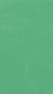 Minimalist Soft Sage Green Textured Background for Mobile