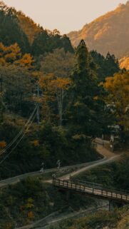 Serene Autumn Mountain Path with Hikers and Wooden Bridge Mobile Wallpaper