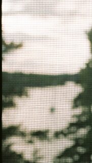 Abstract Window Screen View Silhouette Nature Wallpaper for Mobile