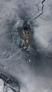 Aerial View of a Frozen Arctic Island Surrounded by Cracked Sea Ice Wallpaper