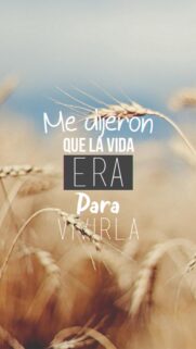 Inspirational Quote Wallpaper with Golden Wheat Field Background