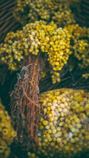 Golden Dried Flowers Abundance Manifestation Aesthetic Wallpaper