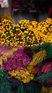 Abundant Harvest Vision Board for Wealth and Prosperity Aesthetic Wallpaper