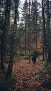 Hiker Walking Through Autumn Forest Path Mobile Wallpaper