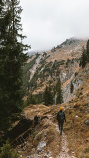 Hiker Exploring Misty Alpine Mountain Trail Forest Mobile Wallpaper