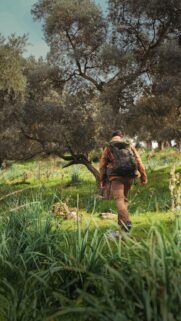 Adventurous Hiker Walking Through Green Olive Grove Mobile Wallpaper