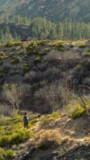 Scenic Wilderness Backpacking Trail Through Rugged Canyon Wallpaper