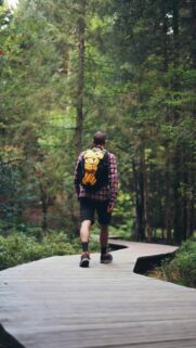 Solo Hiker on Wooden Forest Path Mobile Wallpaper