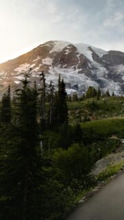Majestic Mount Rainier Glacier Peak Sunset Mobile Phone Wallpaper