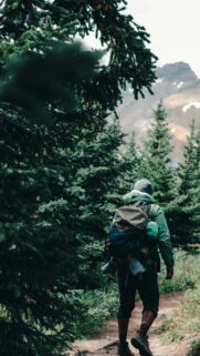 Hiker Trekking Through Pine Forest Mountain Trail Mobile Wallpaper