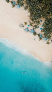Aerial View of Tropical Beach with Turquoise Ocean Phone Wallpaper